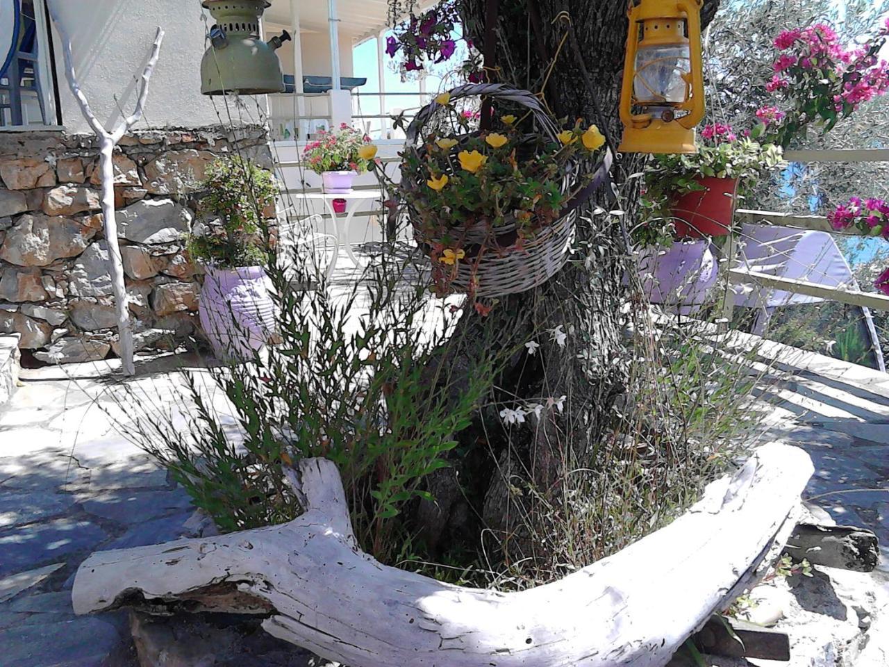 Odyssia Near The Seaside Apartment Agios Petros  Exterior photo